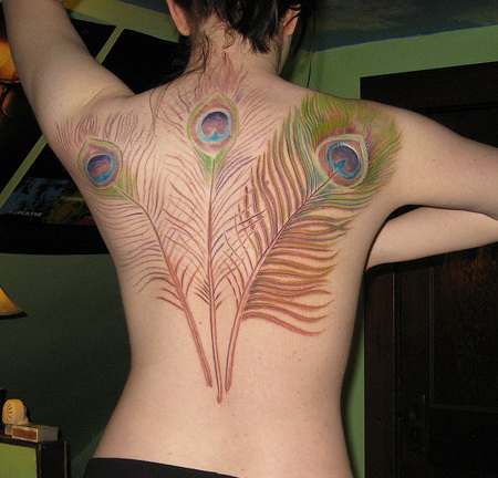  Peacock feather tattoo art 